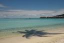 HoneyMoon 471.jpg